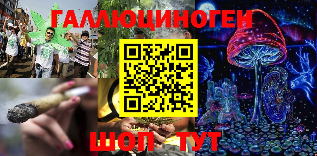 Ковров  Галлюциногенные грибы Cubensis  Псилоцибиновые грибы Psilocybine cubensis  Вход с VPN 